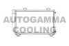AUTOGAMMA 102812 Condenser, air conditioning